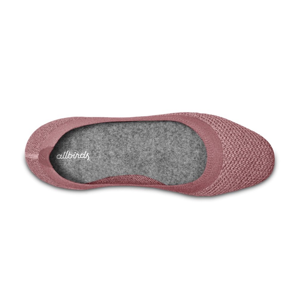 Allbirds Women\'s Flats Pink - Tree Breezers - 04728VAXP